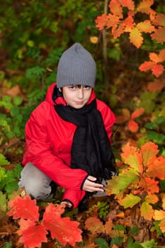 Little boy in autumn forest I