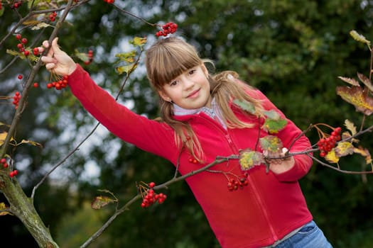 Girl with rowan II.