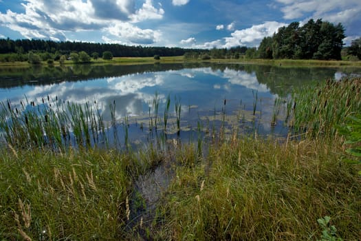 Pond Kosinar