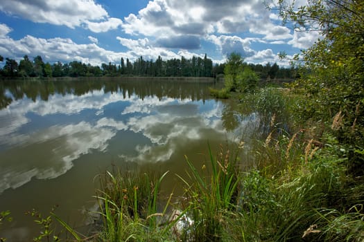 Pond Senecky