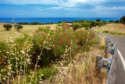 Sea view