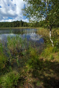 Pond Kamenny