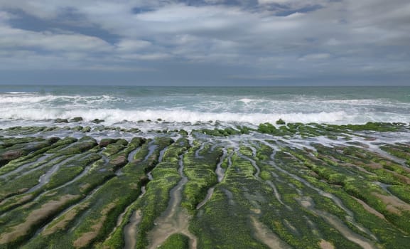 The Laomei Green Stone Trough is located in Shimen District on the North Coast, Every April and May, because the northeast monsoon slowly weakens, the local rock trough scientific name: tidal trench and sea erosion trench is covered with a large green seaweed