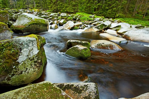 River Vydra