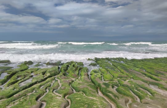 The Laomei Green Stone Trough is located in Shimen District on the North Coast, Every April and May, because the northeast monsoon slowly weakens, the local rock trough scientific name: tidal trench and sea erosion trench is covered with a large green seaweed