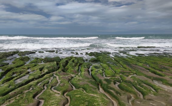The Laomei Green Stone Trough is located in Shimen District on the North Coast, Every April and May, because the northeast monsoon slowly weakens, the local rock trough scientific name: tidal trench and sea erosion trench is covered with a large green seaweed