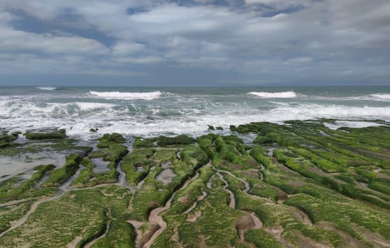 The Laomei Green Stone Trough is located in Shimen District on the North Coast, Every April and May, because the northeast monsoon slowly weakens, the local rock trough scientific name: tidal trench and sea erosion trench is covered with a large green seaweed