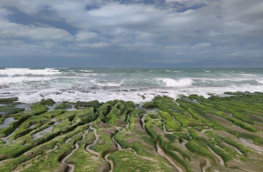 The Laomei Green Stone Trough is located in Shimen District on the North Coast, Every April and May, because the northeast monsoon slowly weakens, the local rock trough scientific name: tidal trench and sea erosion trench is covered with a large green seaweed