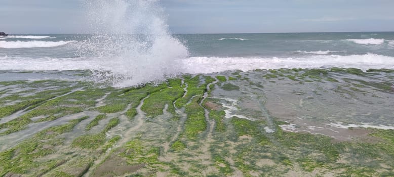 The Laomei Green Stone Trough is located in Shimen District on the North Coast, Every April and May, because the northeast monsoon slowly weakens, the local rock trough scientific name: tidal trench and sea erosion trench is covered with a large green seaweed