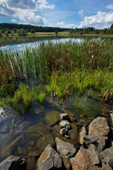 Pond Kosinar