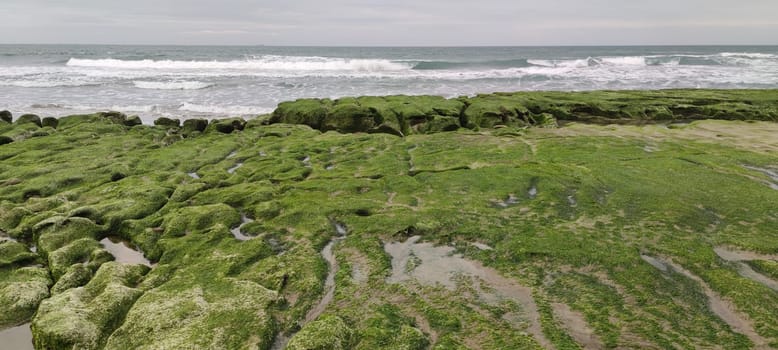 The Laomei Green Stone Trough is located in Shimen District on the North Coast, Every April and May, because the northeast monsoon slowly weakens, the local rock trough scientific name: tidal trench and sea erosion trench is covered with a large green seaweed
