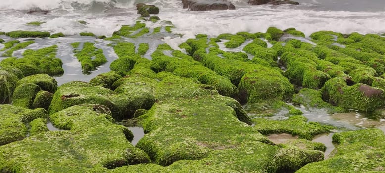 The Laomei Green Stone Trough is located in Shimen District on the North Coast, Every April and May, because the northeast monsoon slowly weakens, the local rock trough scientific name: tidal trench and sea erosion trench is covered with a large green seaweed