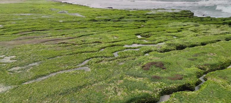 The Laomei Green Stone Trough is located in Shimen District on the North Coast, Every April and May, because the northeast monsoon slowly weakens, the local rock trough scientific name: tidal trench and sea erosion trench is covered with a large green seaweed