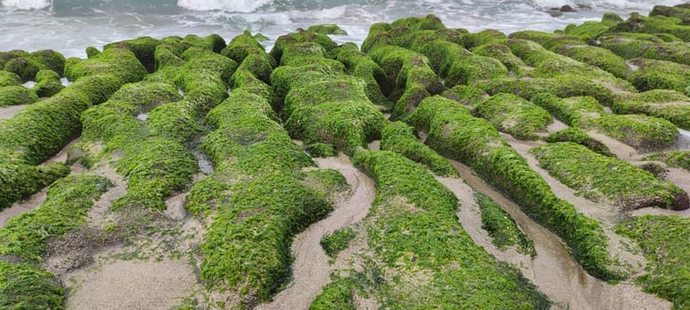The Laomei Green Stone Trough is located in Shimen District on the North Coast, Every April and May, because the northeast monsoon slowly weakens, the local rock trough scientific name: tidal trench and sea erosion trench is covered with a large green seaweed