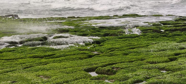 The Laomei Green Stone Trough is located in Shimen District on the North Coast, Every April and May, because the northeast monsoon slowly weakens, the local rock trough scientific name: tidal trench and sea erosion trench is covered with a large green seaweed