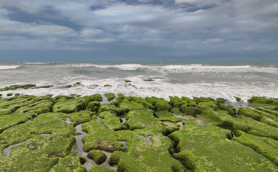 The Laomei Green Stone Trough is located in Shimen District on the North Coast, Every April and May, because the northeast monsoon slowly weakens, the local rock trough scientific name: tidal trench and sea erosion trench is covered with a large green seaweed