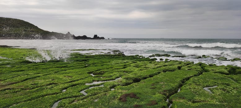 The Laomei Green Stone Trough is located in Shimen District on the North Coast, Every April and May, because the northeast monsoon slowly weakens, the local rock trough scientific name: tidal trench and sea erosion trench is covered with a large green seaweed