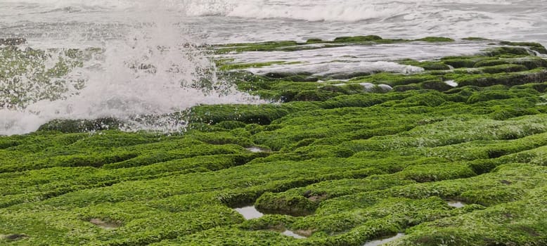 The Laomei Green Stone Trough is located in Shimen District on the North Coast, Every April and May, because the northeast monsoon slowly weakens, the local rock trough scientific name: tidal trench and sea erosion trench is covered with a large green seaweed