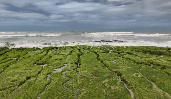The Laomei Green Stone Trough is located in Shimen District on the North Coast, Every April and May, because the northeast monsoon slowly weakens, the local rock trough scientific name: tidal trench and sea erosion trench is covered with a large green seaweed