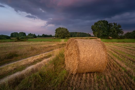 A hay bale by a dirt road and evening clouds, Nowiny, Poland