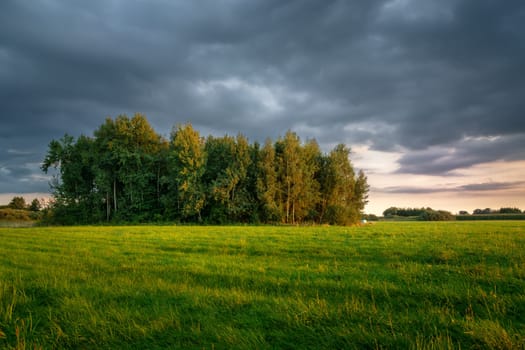 Green meadow with forest and dark clouds, evening view