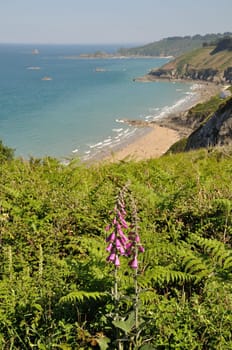 Plouha on the Brittany coast