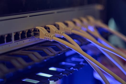 IT expert working with computer server network cable. Connectivity, Internet, technician, installing.
