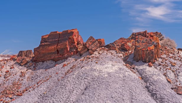 Petrified Wood on a Colorful Mound in Petrified Wood National Park in Arizona