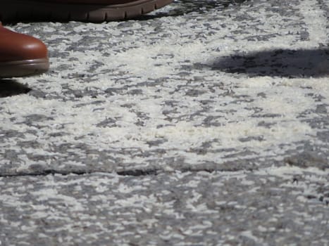 wedding party rice thrown to the bride and groom ritual celebration