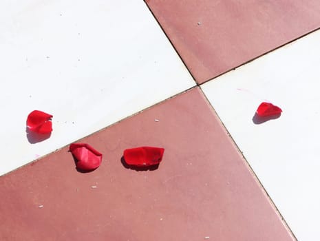 beautiful rose leaves after a celebration remains aroma color