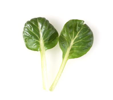 Asian salads are often available all year round. It is used as a salad as well as a vegetable side dish. Asian salads are often available all year round. It is used as a salad as well as a vegetable side dish.