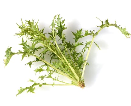 Asian salads are often available all year round. It is used as a salad as well as a vegetable side dish. Asian salads are often available all year round. It is used as a salad as well as a vegetable side dish.