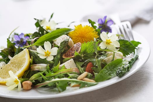 Spring salad with dandelion, asparagus, wild garlic, flowers, nettle and cream cheese. Healthy spring detox food ingredients.