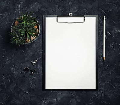 Clipboard with blank letterhead, pencil and succulent plant on black plaster background. Top view.