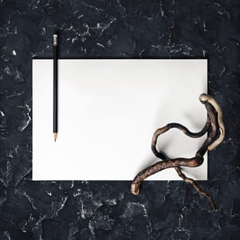 Photo of blank stationery: letterhead, pencil and dry branch. Branding mock up. Top view.