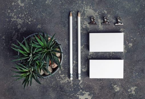 Blank corporate id stationery. Photo of blank business cards, pencils, succulent plant and metal clips. Top view.