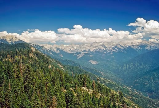 The Great Divide with forest and blue sky with clouds