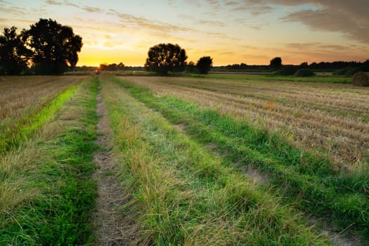 Dirt road between fields and the sunset sky, Nowiny, Lubelskie, Poland