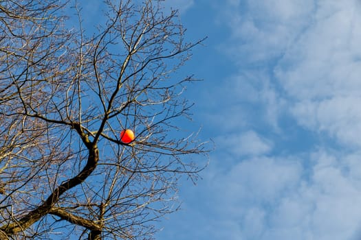 orange ball trapped high up among the branches of a big tree, worms-eye view, sunny blue sky with fading few clouds balancing the foto