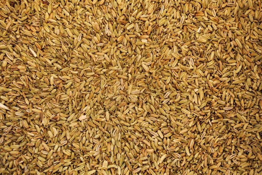 Caraway / Fennel seeds displayed on food market in Kyrenia, Northern Cyprus