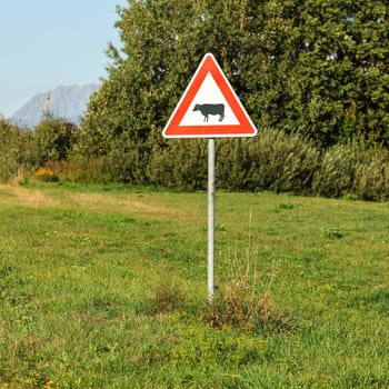 Red triangle warning cows crossing sign, on a green meadow, tree in background.