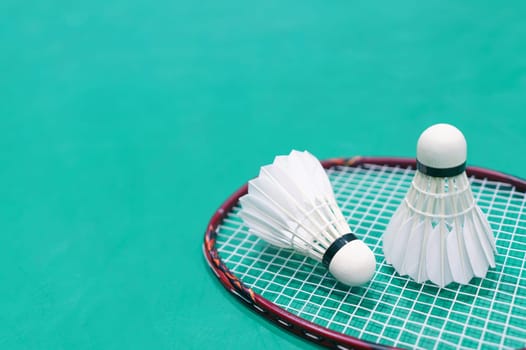new shuttlecock on green badminton playing court