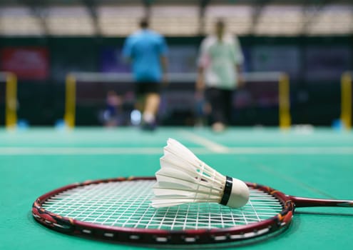 shuttlecock on green badminton playing court with player in background