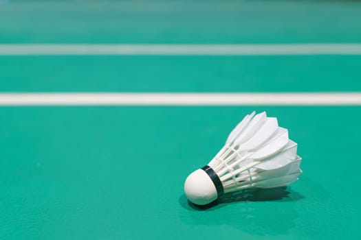 new shuttlecock on green badminton playing court