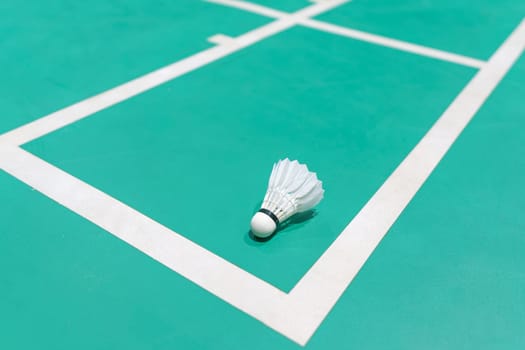 new shuttlecock on green badminton playing court