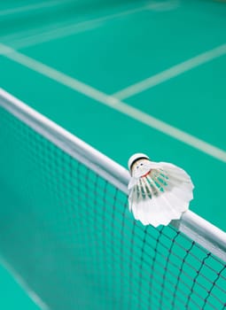 new shuttlecock on  badminton net playing court