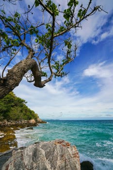 Sand beach among rocks, koh lan island thailand