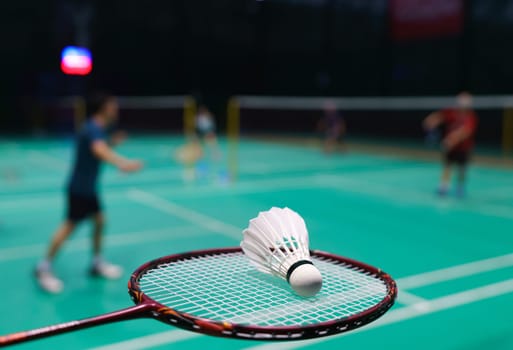 shuttlecock on green badminton playing court with player in background