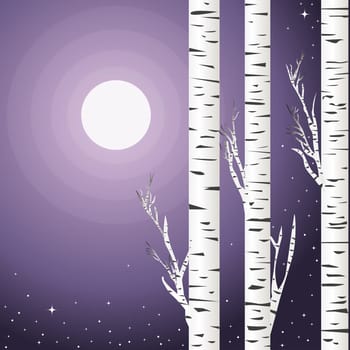 Background with birch trees in a violet night with moon