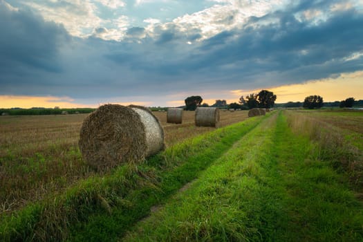 Hay bales next to a dirt path, Nowiny, Lubelskie, Poland